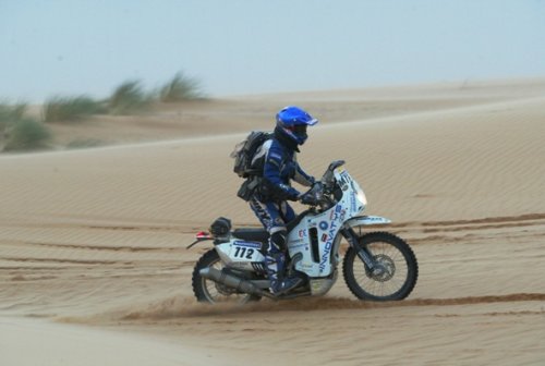 Mauritanie one, herbe à chameau only !